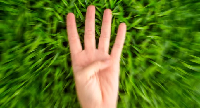 The teacher says the grass is dry